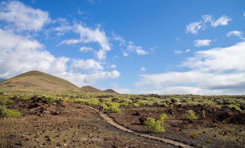 Las Palmeras ปูแอร์ติโต เด กวีมาร์ ภายนอก รูปภาพ